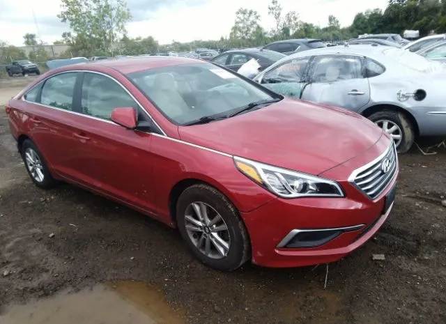 HYUNDAI SONATA 2017 5npe24afxhh535653