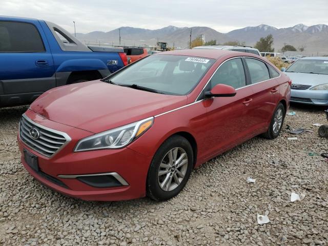 HYUNDAI SONATA 2017 5npe24afxhh536494