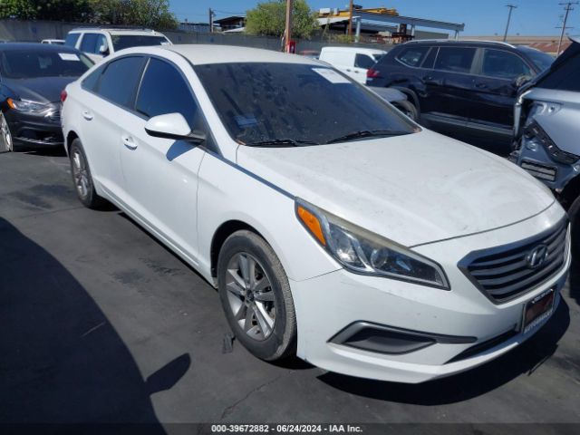 HYUNDAI SONATA 2017 5npe24afxhh552954