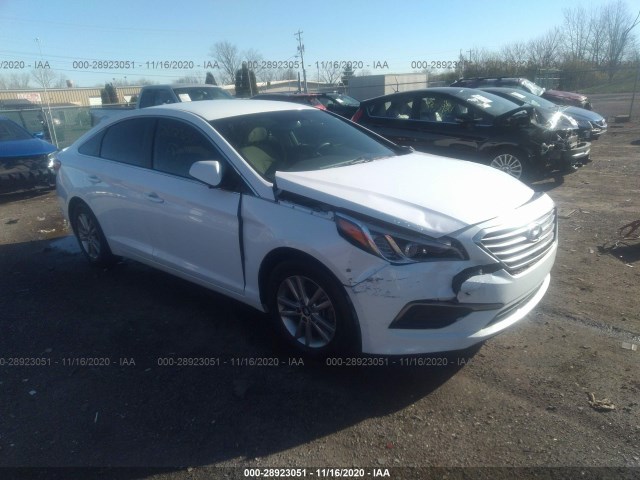 HYUNDAI SONATA 2017 5npe24afxhh555451