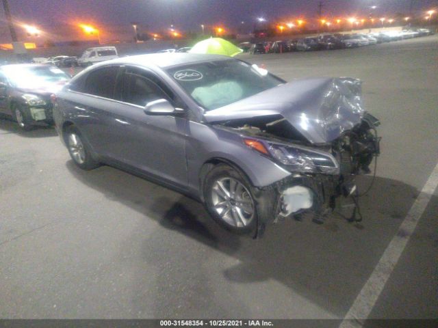 HYUNDAI SONATA 2017 5npe24afxhh560195