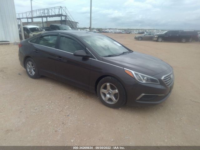 HYUNDAI SONATA 2017 5npe24afxhh560469