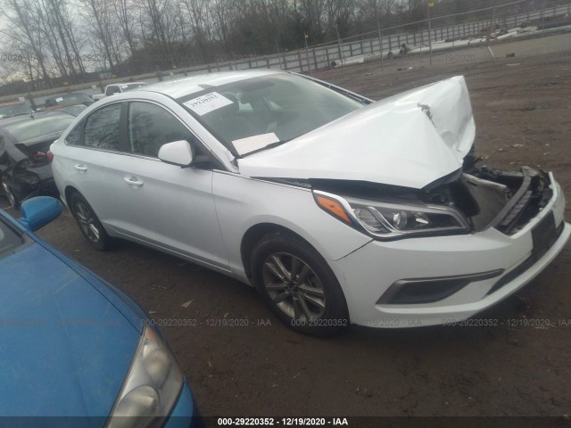 HYUNDAI SONATA 2017 5npe24afxhh582231