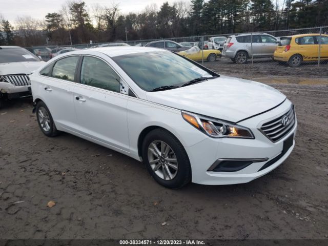 HYUNDAI SONATA 2017 5npe24afxhh588112