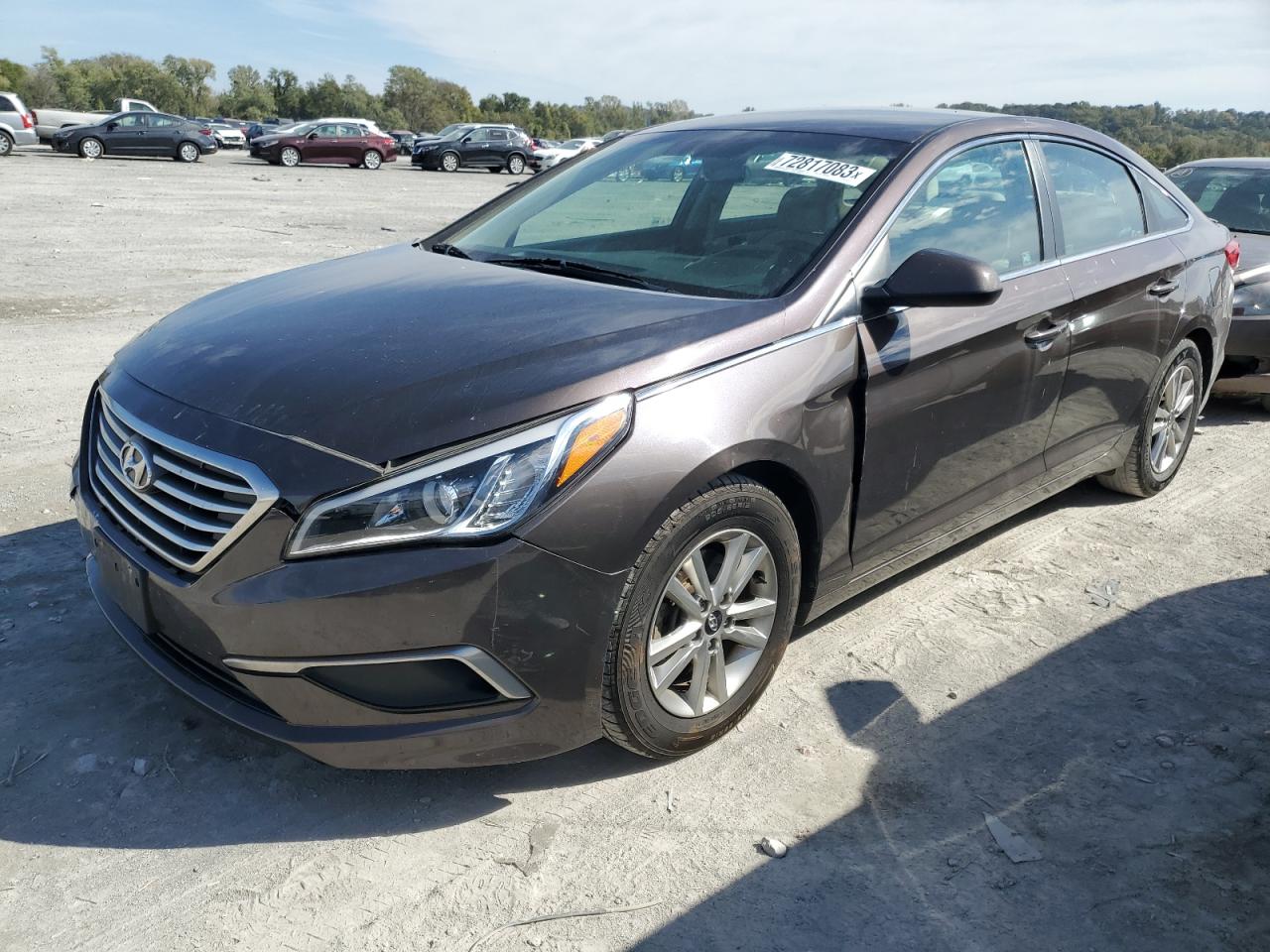 HYUNDAI SONATA 2017 5npe24afxhh595271