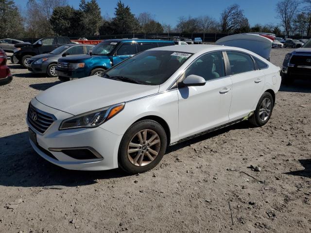 HYUNDAI SONATA 2017 5npe24afxhh595934