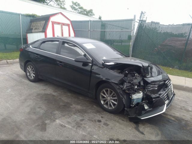 HYUNDAI SONATA 2018 5npe24afxjh609479