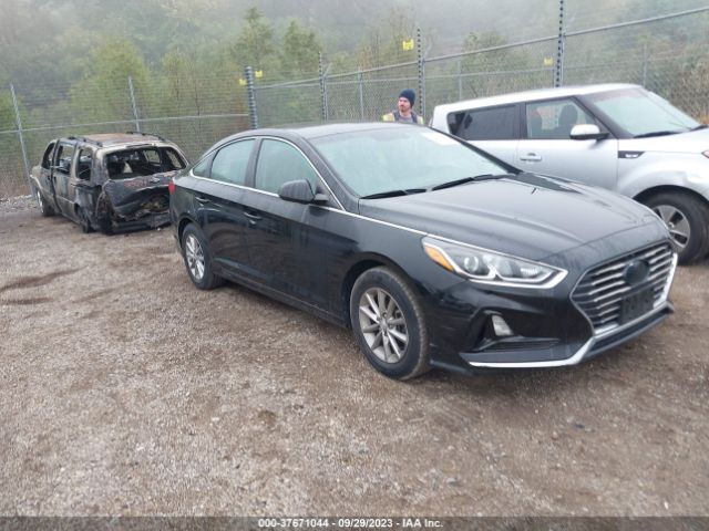 HYUNDAI SONATA 2018 5npe24afxjh650419