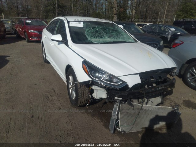 HYUNDAI SONATA 2018 5npe24afxjh669696