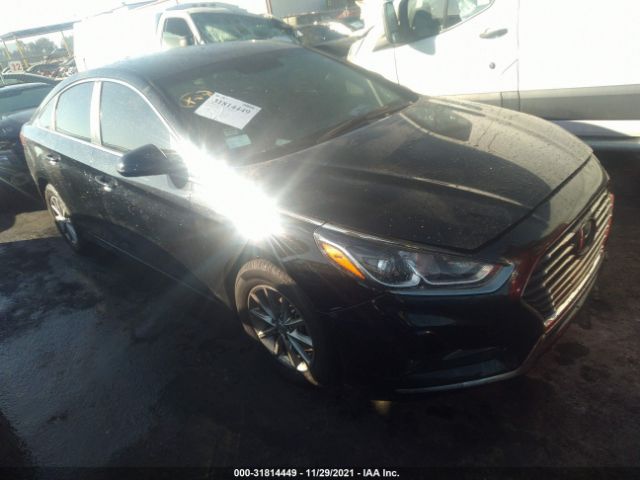 HYUNDAI SONATA 2018 5npe24afxjh677152