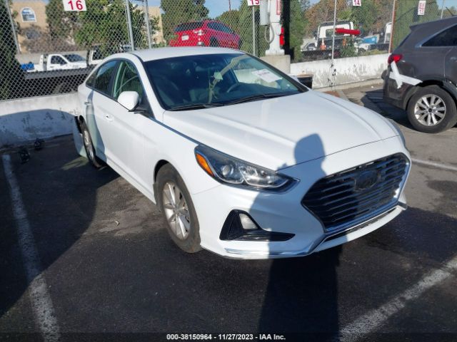 HYUNDAI SONATA 2018 5npe24afxjh686434