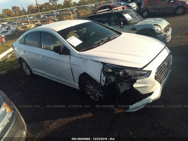 HYUNDAI SONATA 2019 5npe24afxkh729803