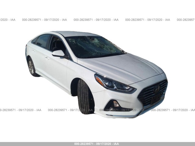 HYUNDAI SONATA 2019 5npe24afxkh732670