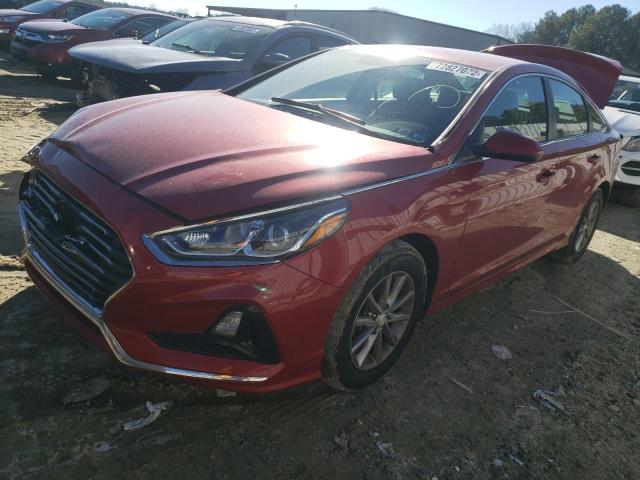 HYUNDAI SONATA 2019 5npe24afxkh733043