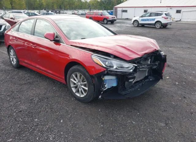 HYUNDAI SONATA 2019 5npe24afxkh734550