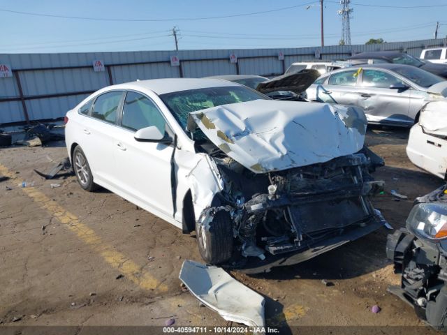 HYUNDAI SONATA 2019 5npe24afxkh738923