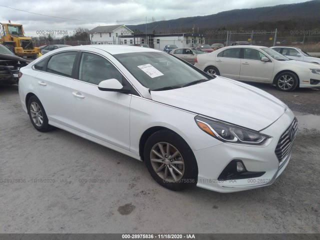 HYUNDAI SONATA 2019 5npe24afxkh740848