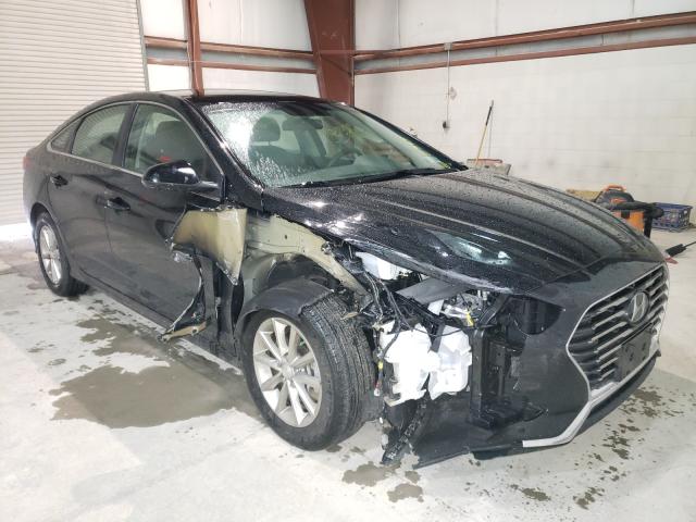 HYUNDAI SONATA SE 2019 5npe24afxkh742941