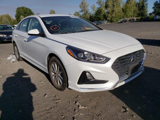 HYUNDAI SONATA SE 2019 5npe24afxkh744916