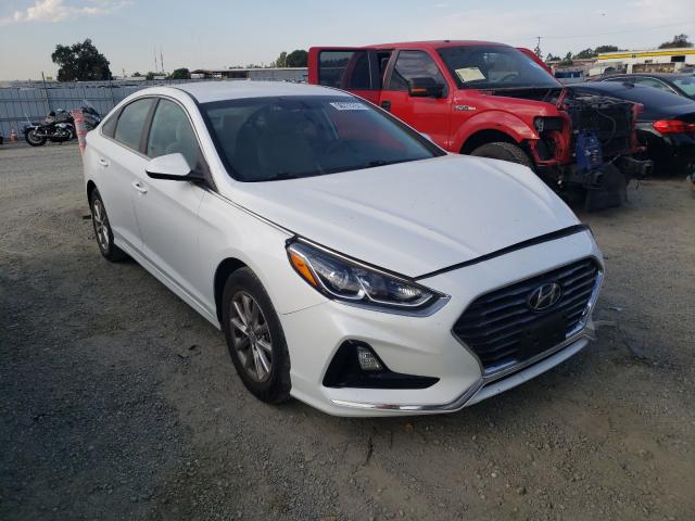 HYUNDAI SONATA SE 2019 5npe24afxkh749193