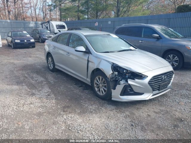 HYUNDAI SONATA 2019 5npe24afxkh750733