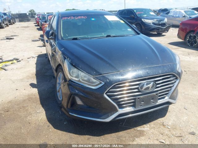 HYUNDAI SONATA 2019 5npe24afxkh750781