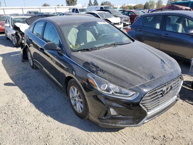 HYUNDAI SONATA SE 2019 5npe24afxkh751204