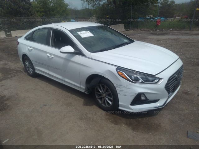 HYUNDAI SONATA 2019 5npe24afxkh751350