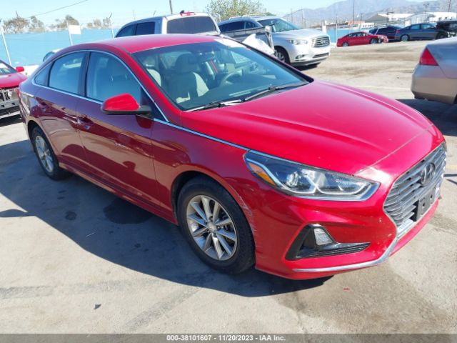 HYUNDAI SONATA 2019 5npe24afxkh751512