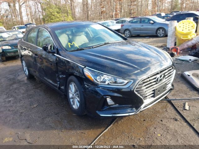 HYUNDAI SONATA 2019 5npe24afxkh754314