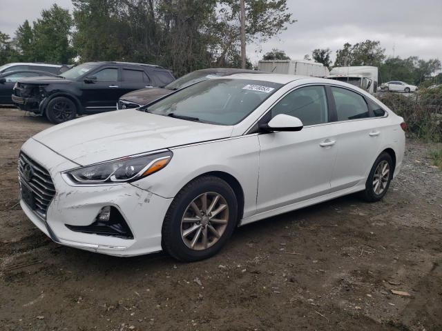 HYUNDAI SONATA 2019 5npe24afxkh763000