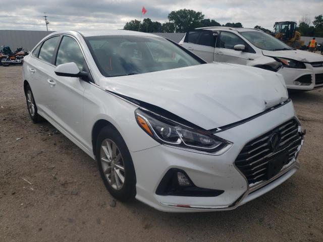 HYUNDAI SONATA SE 2019 5npe24afxkh771064