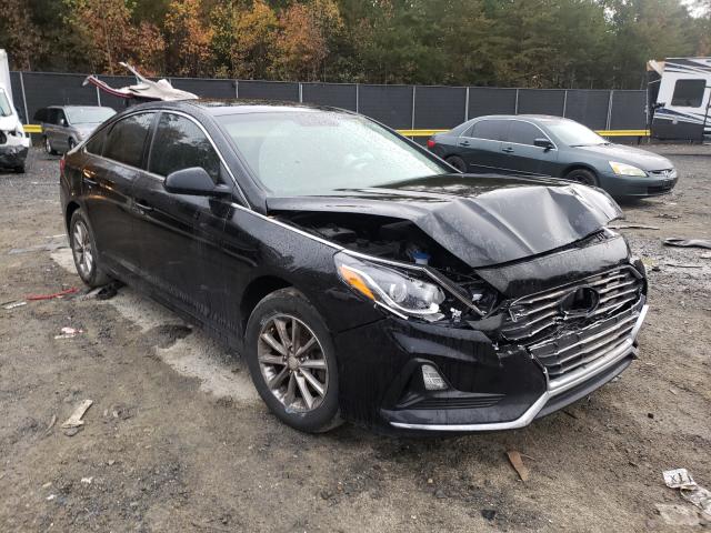 HYUNDAI SONATA SE 2019 5npe24afxkh771517