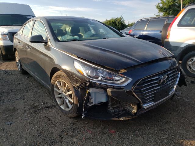 HYUNDAI SONATA 2019 5npe24afxkh773591