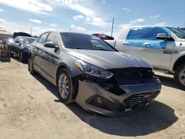 HYUNDAI SONATA SE 2019 5npe24afxkh774773