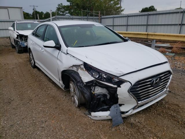 HYUNDAI SONATA SE 2019 5npe24afxkh776250