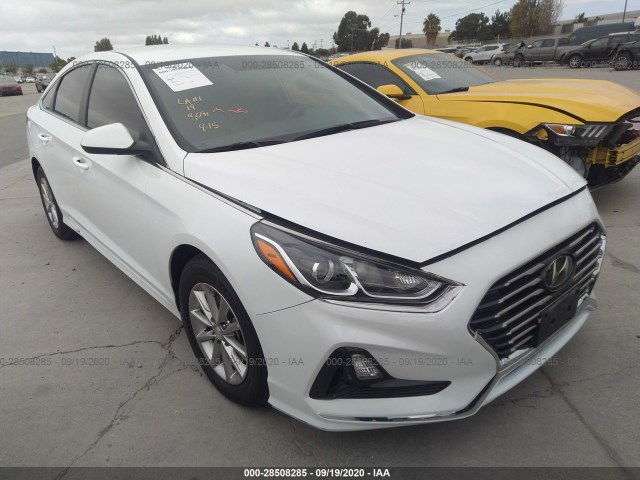 HYUNDAI SONATA 2019 5npe24afxkh777267