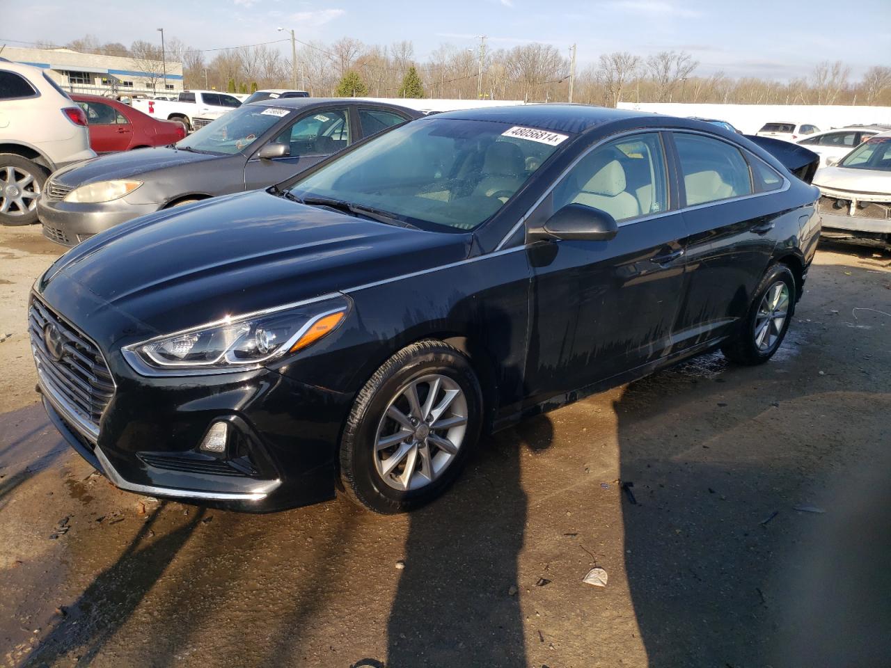 HYUNDAI SONATA 2019 5npe24afxkh779259