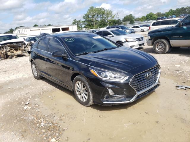 HYUNDAI SONATA 2019 5npe24afxkh779648