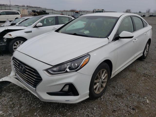 HYUNDAI SONATA SE 2019 5npe24afxkh780749