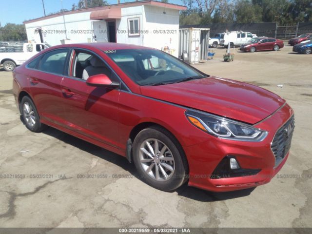 HYUNDAI SONATA 2019 5npe24afxkh782565