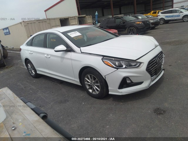 HYUNDAI SONATA 2019 5npe24afxkh784512