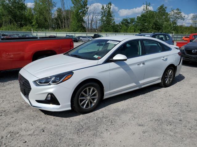 HYUNDAI SONATA SE 2019 5npe24afxkh784798