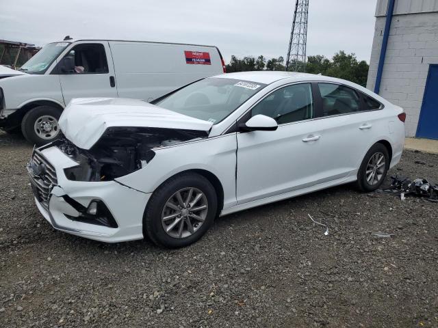 HYUNDAI SONATA 2019 5npe24afxkh786079