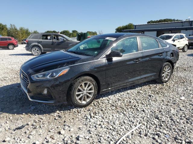 HYUNDAI SONATA SE 2019 5npe24afxkh788012