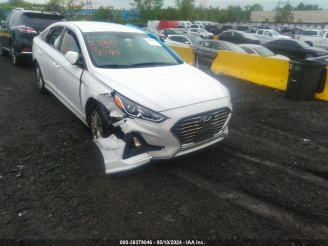 HYUNDAI SONATA 2019 5npe24afxkh788494