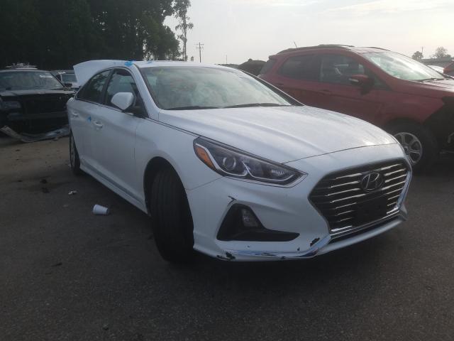 HYUNDAI SONATA SE 2019 5npe24afxkh790360