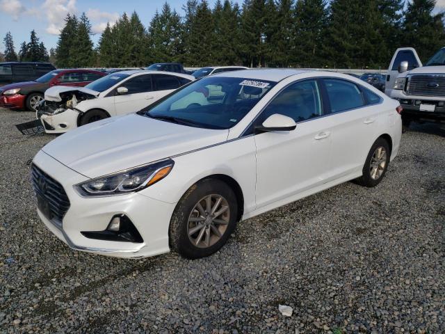 HYUNDAI SONATA SE 2019 5npe24afxkh797485