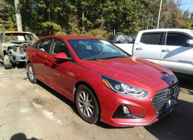 HYUNDAI SONATA 2019 5npe24afxkh802443