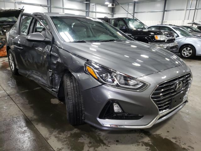 HYUNDAI SONATA SE 2019 5npe24afxkh803219